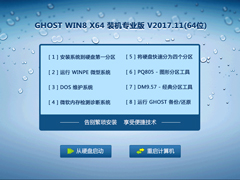 GHOST WIN8 X64 装机专业版 V2017.11(64位)