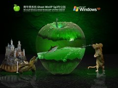 青苹果系统 Ghost WinXP Sp3专业版 V2021.10