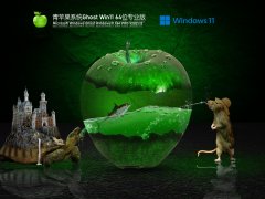 青苹果系统 Ghost Win11 64 最新正式版 V2021.12
