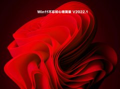 Win11不忘初心精简版 V2022.1