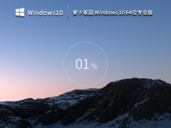 萝卜家园 Windows10 64位 专业版（一键安装）V2023.03