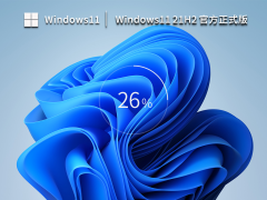 【专业人士】Windows11 22H2 专业工作站版轻精简 V2023.04