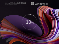 Windows11 22621.1555 X64 精简中文版