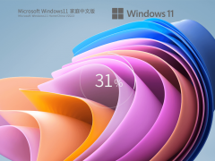 【家庭/个人】Windows11 22621.1555 X64 家庭中文版