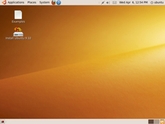 Ubuntu 9.10 i386׼棨64λ