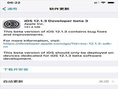 iOS 12.1.3 Beta 3ʲôϢ
