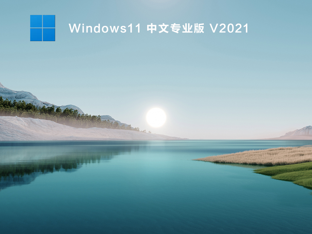 Windows11 רҵ V2021