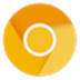 ȸ(Chrome Canary) V93.0.4530.3 ˿ȸ