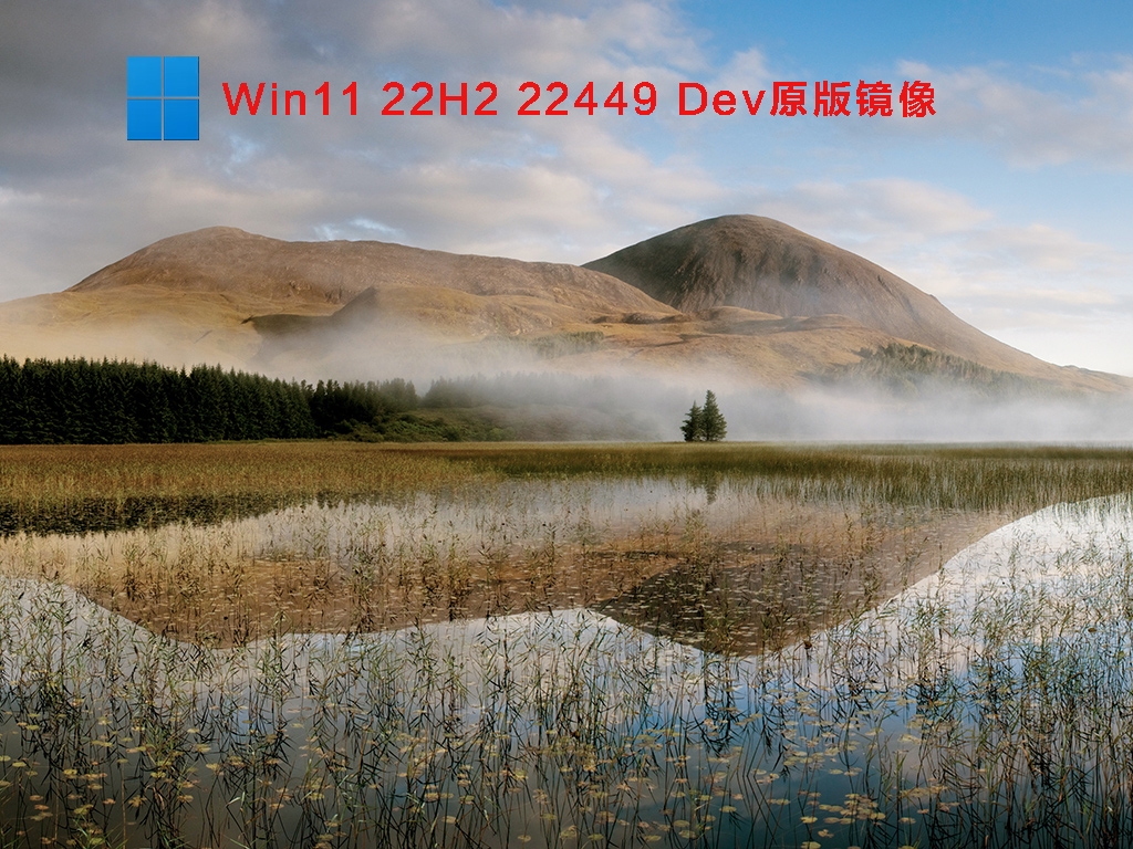 Win11 22H2 22449 Devԭ澵 V2021.9.3