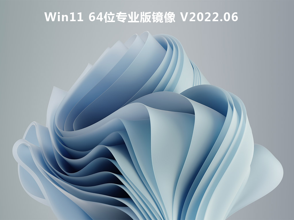 Win11 64λרҵ澵 V2022.06