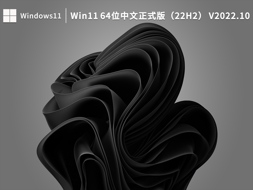 Win11 64位中文正式版（22H2）V2022.10