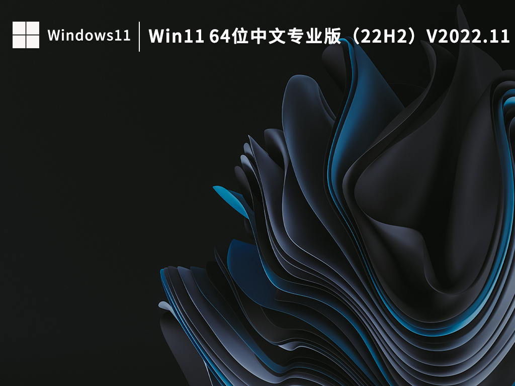 Win11 64位中文专业版（22H2）V2022.11
