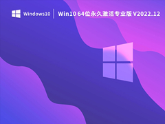 Win10 64位永久激活专业版 V2022.12