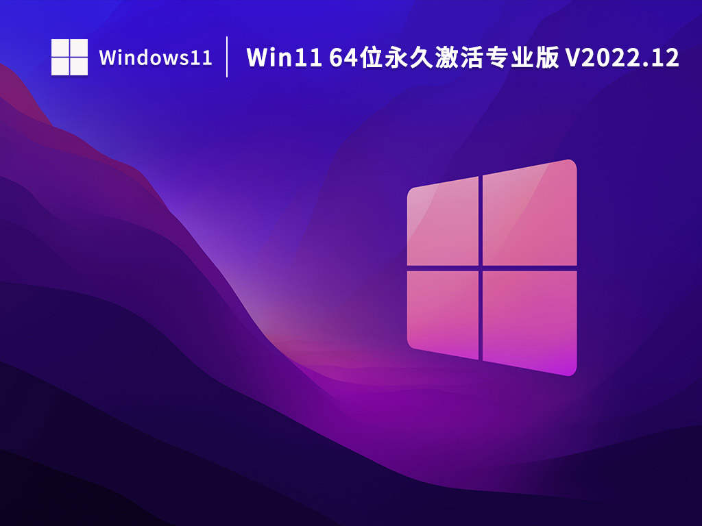 Win11 64位永久激活专业版 V2022.12