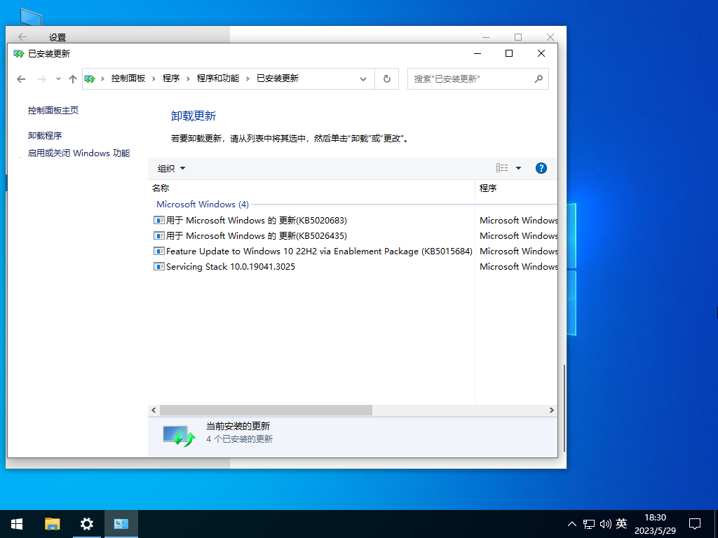 ȼ Windows10 64λ רҵ V2023.06