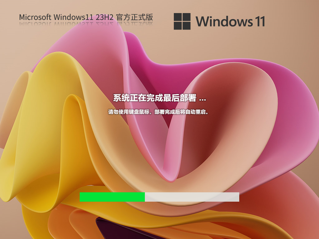 Windows11 23H2רҵʽ V2024