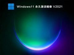 Windows11 ü V2021