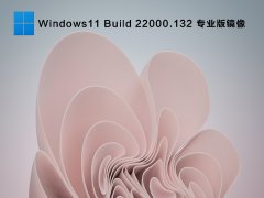 Windows11 Build 22000.132 רҵ澵 V2021.08