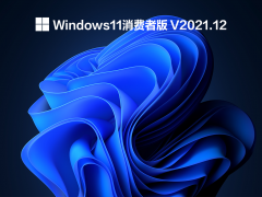 Windows11消费者版 V2021.12