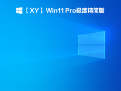 XY Win11 ProȾ V2021.12