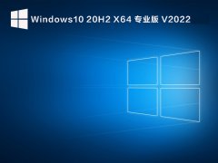 Windows 10 20H2 64λ רҵʽ V2022