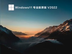 Windows11 רҵԭ V2022