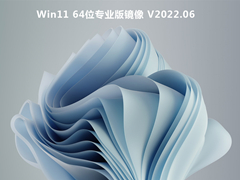 Win11 64λרҵ澵 V2022.06