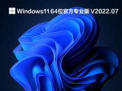 Windows11 64λٷרҵ V2022.07