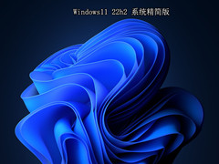 Windows11 22h2 ϵͳ V2022