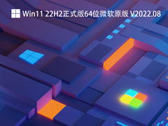 Win11 22H2正式版64位微软原版 V2022.08