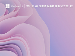Win11 64位激活版最新镜像 V2022.12