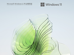 Windows11 22H2 (22621.1702) X64 专业精简版 V2023.05