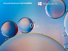 Windows10 22H2 64位 专业精简版 V2023.09